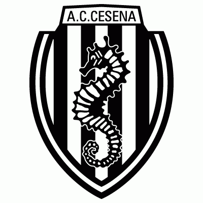 italian serie a cesena pres primary logo t shirt iron on transfers
